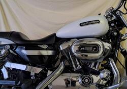 Harley-Davidson 1200 Low (2006 - 07) - XL 1200L usata