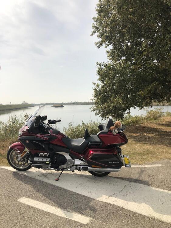 Honda GL 1800 Gold Wing DCT Tour (2020)