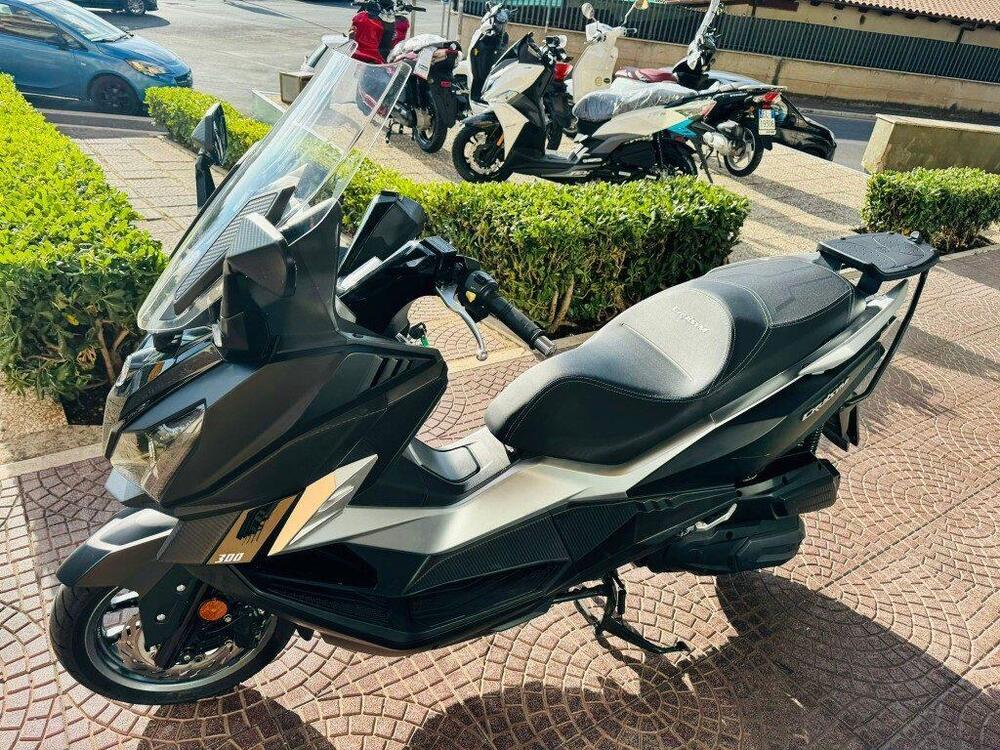 Sym Cruisym 300 (2017 - 20) (3)