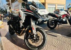 Benelli TRK 702 (2023 - 24) nuova