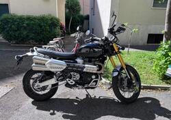 Triumph Scrambler 1200 XE (2021 - 23) usata