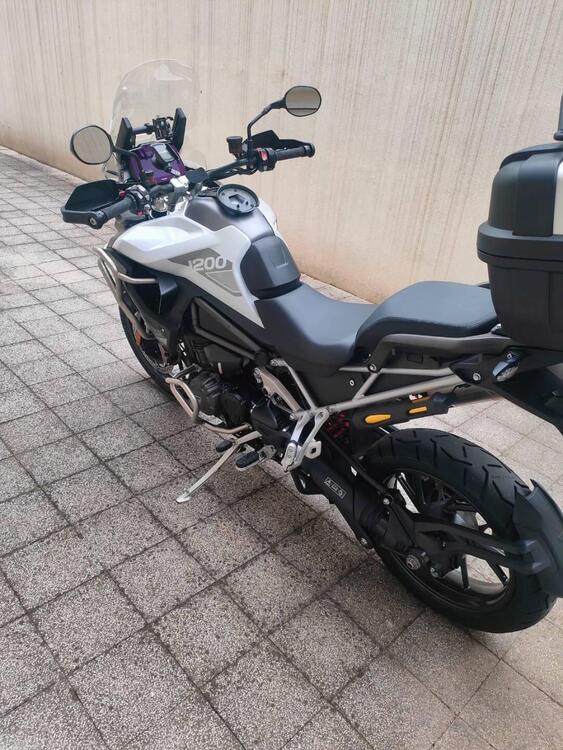 Triumph Tiger 1200 GT Pro (2022 - 23) (2)