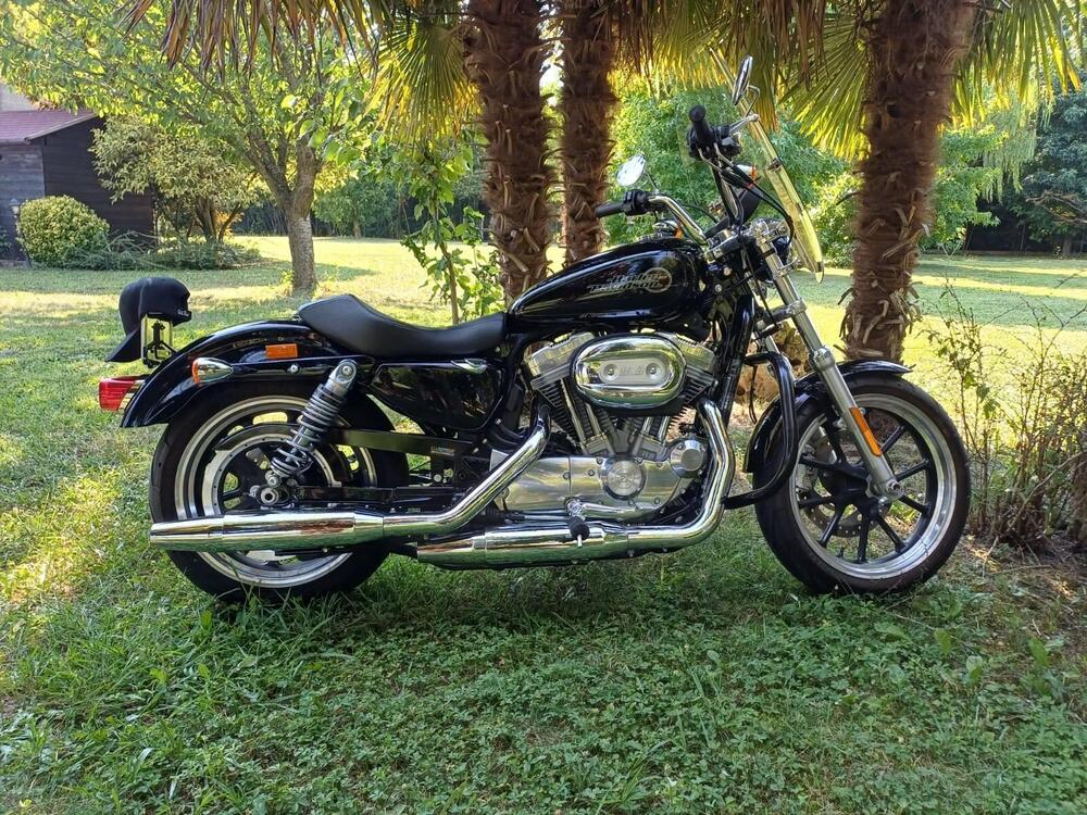 Harley-Davidson 883 SuperLow (2017 - 20) - XL 883L