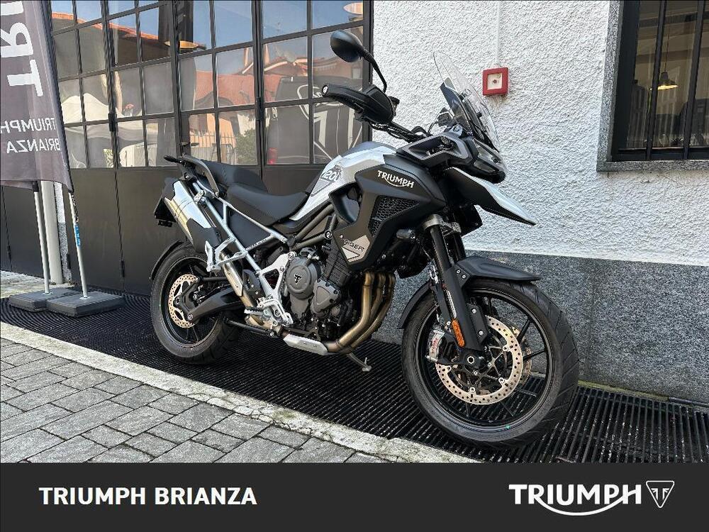 Triumph Tiger 1200 GT Pro (2024) (2)