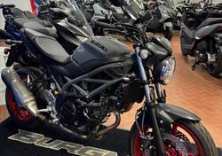 Suzuki SV650 (2021 - 24) nuova