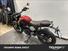 Triumph Scrambler 400 X (2024) (6)