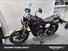 Triumph Scrambler 400 X (2024) (7)