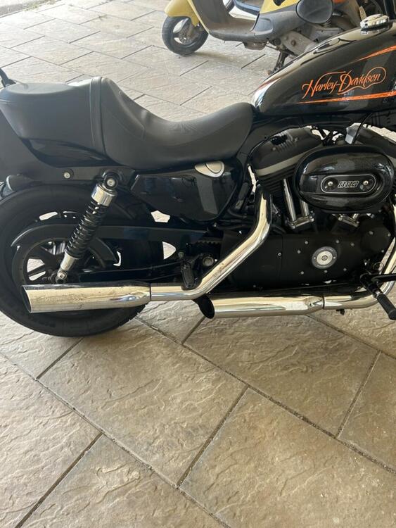 Harley-Davidson 883 Iron (2009 - 11) - XL 883N