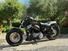 Harley-Davidson 1200 Forty-Eight (2016 - 20) (16)