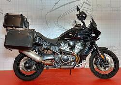 Harley-Davidson Pan America 1250 Special (2020 - 24) usata