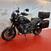 Harley-Davidson Pan America 1250 Special (2020 - 24) (7)