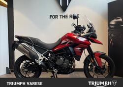 Triumph Tiger 900 GT (2020 - 23) usata