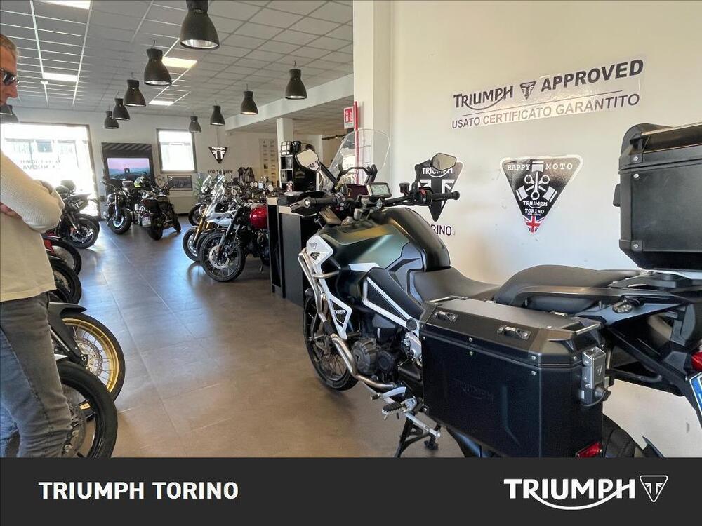 Triumph Tiger 1200 Rally Explorer (2022 - 23) (3)