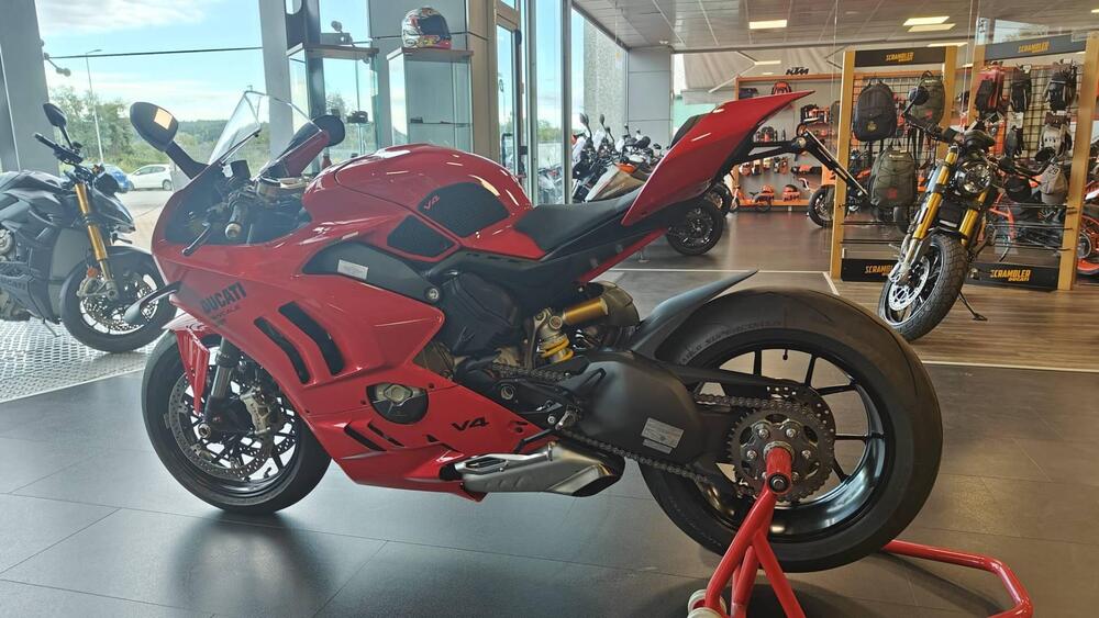 Ducati Panigale V4 (2022 - 24) (4)