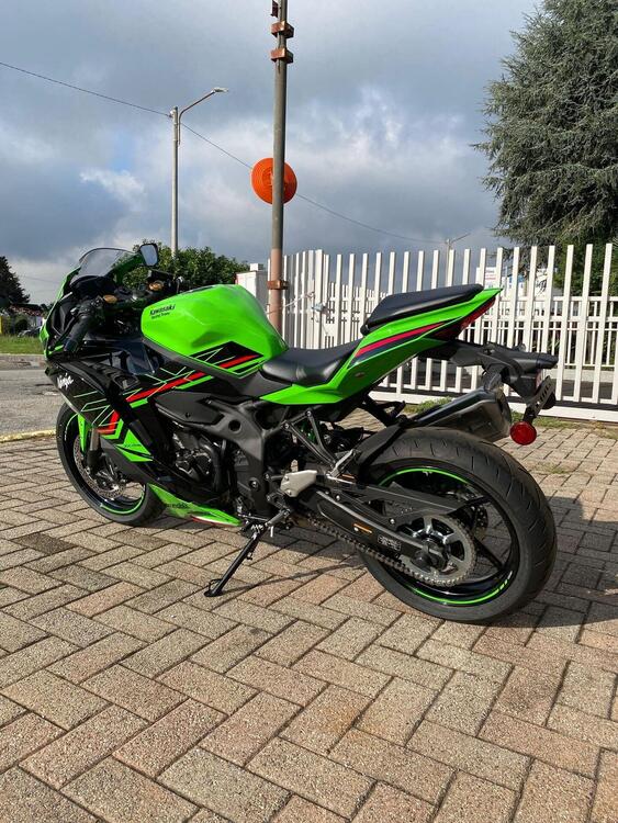 Kawasaki Ninja ZX-4RR (2024 - 25) (5)