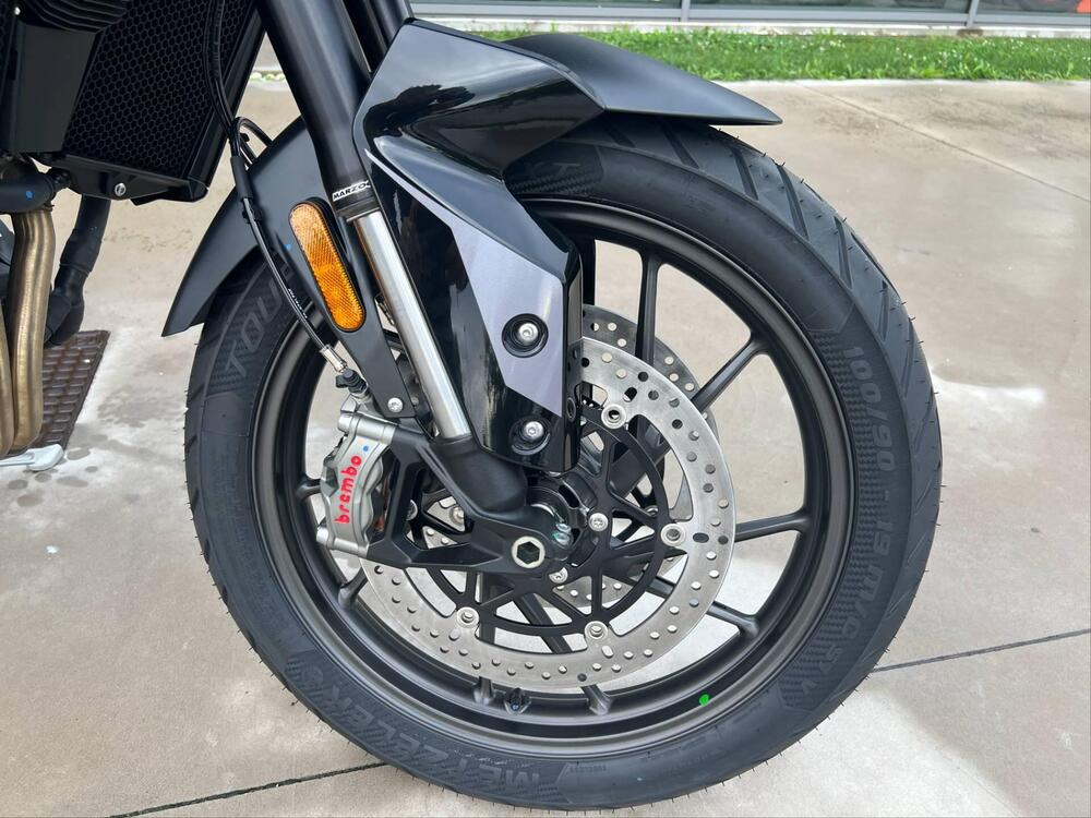 Triumph Tiger 900 GT (2024) (3)