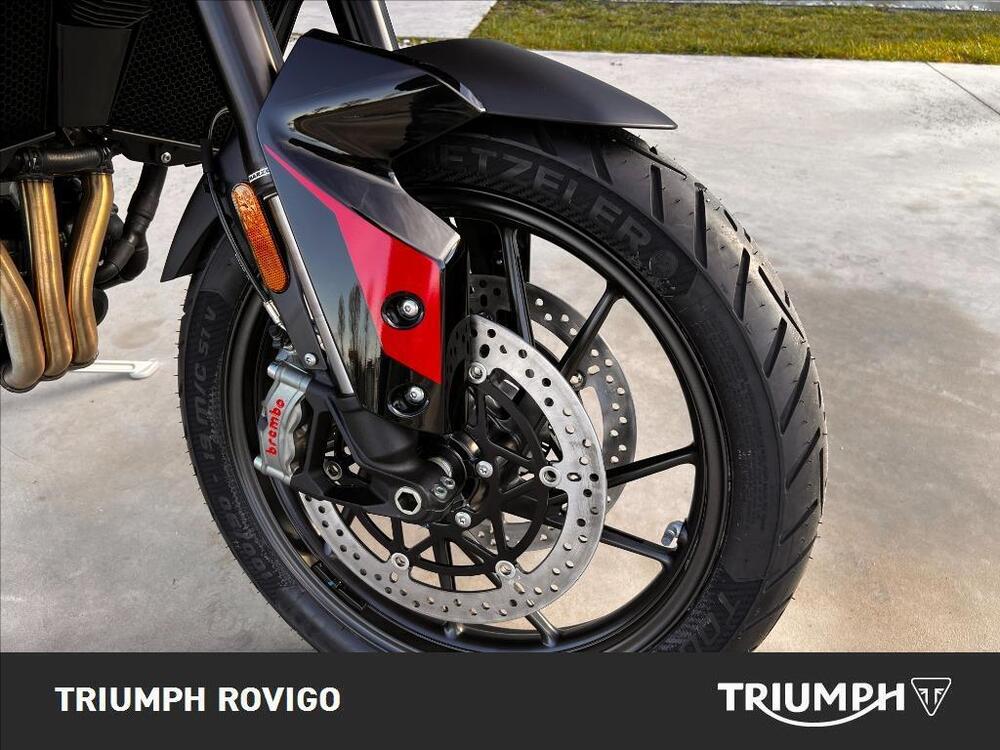 Triumph Tiger 900 GT Pro (2024) (3)