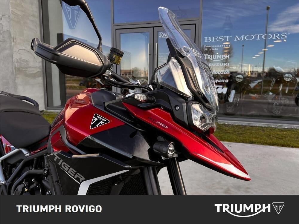 Triumph Tiger 900 GT Pro (2024) (2)