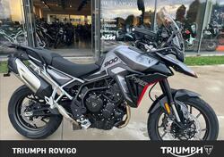 Triumph Tiger 900 GT (2024) usata