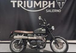 Triumph Scrambler (2006 - 17) usata