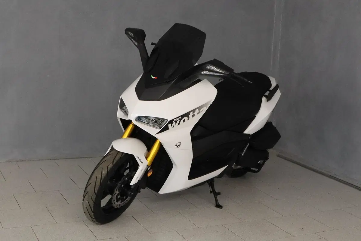 Wottan Motor Storm-R 300 (2023 - 25)