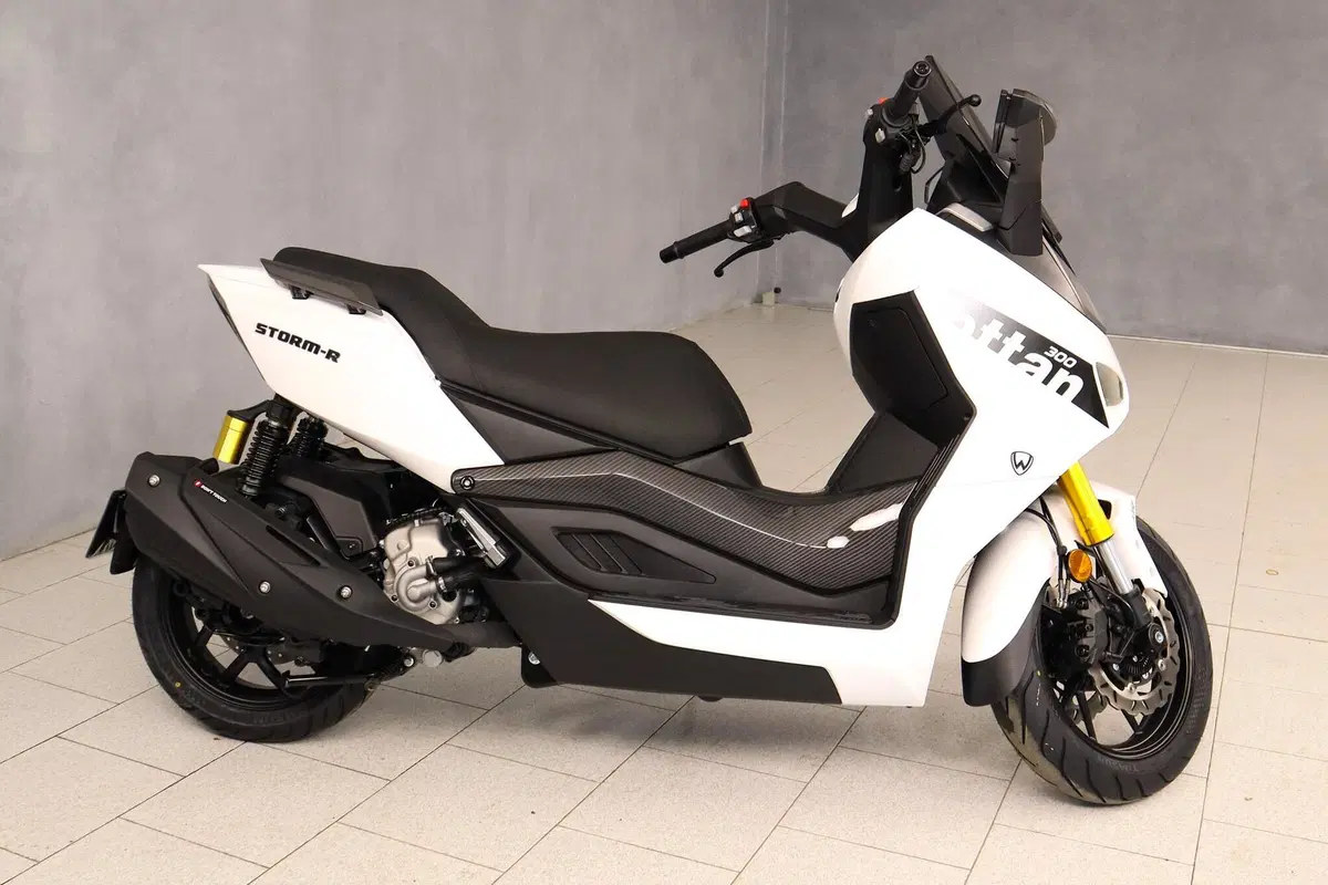Wottan Motor Storm-R 300 (2023 - 25) (10)
