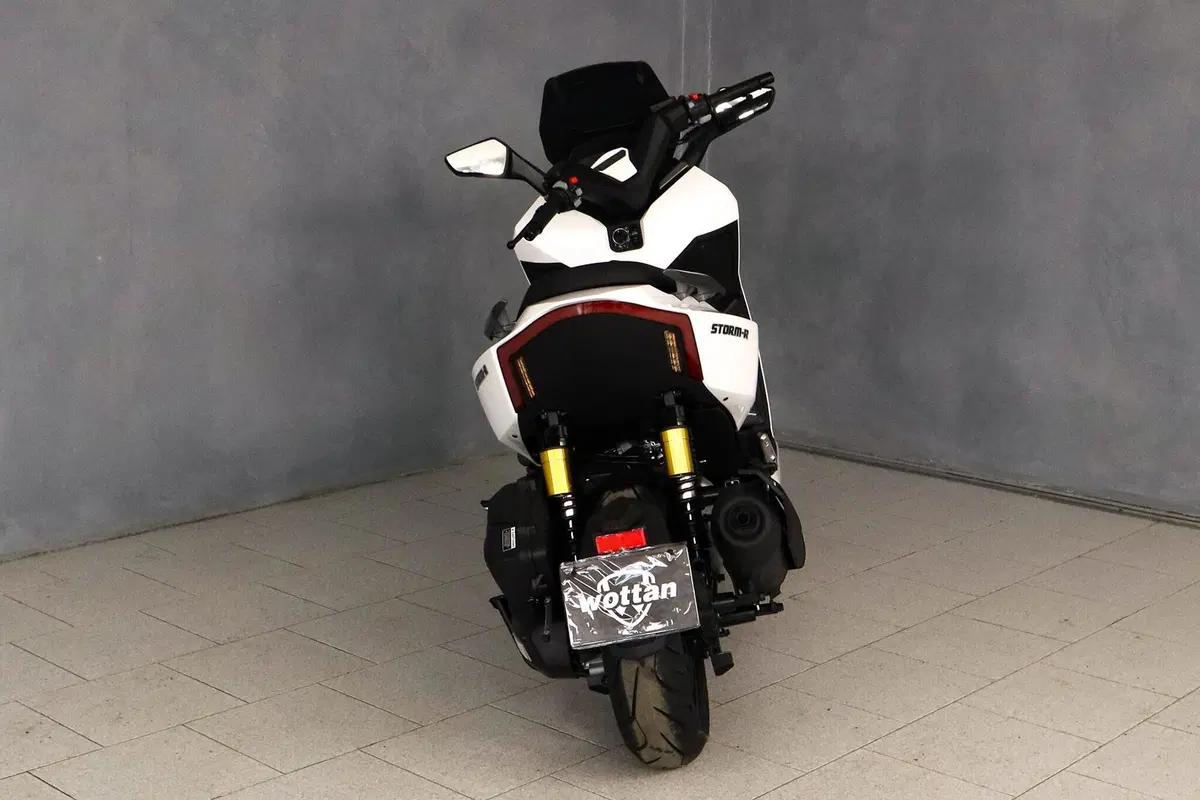 Wottan Motor Storm-R 300 (2023 - 25) (12)