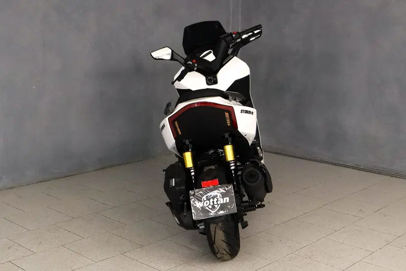 Wottan Motor Storm-R 300 (2023 - 25) (12)