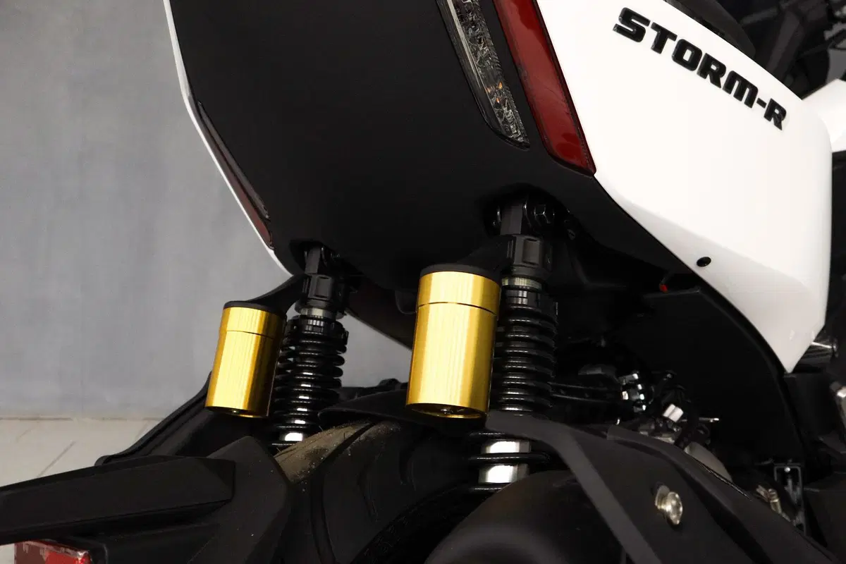 Wottan Motor Storm-R 300 (2023 - 25) (13)
