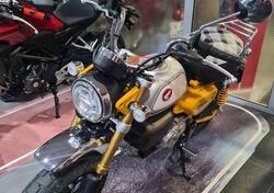 Honda Monkey 125 (2022 - 24) usata