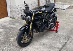 Triumph Speed Triple 1050 (2005 - 11) usata