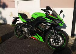 Kawasaki Ninja 650 KRT Edition (2017 - 19) usata