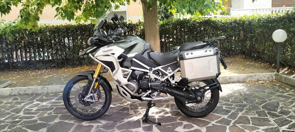 Triumph Tiger 1200 Rally Explorer (2022 - 23) (3)