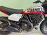 Ducati Scrambler 800 Urban Motard (2022) (8)