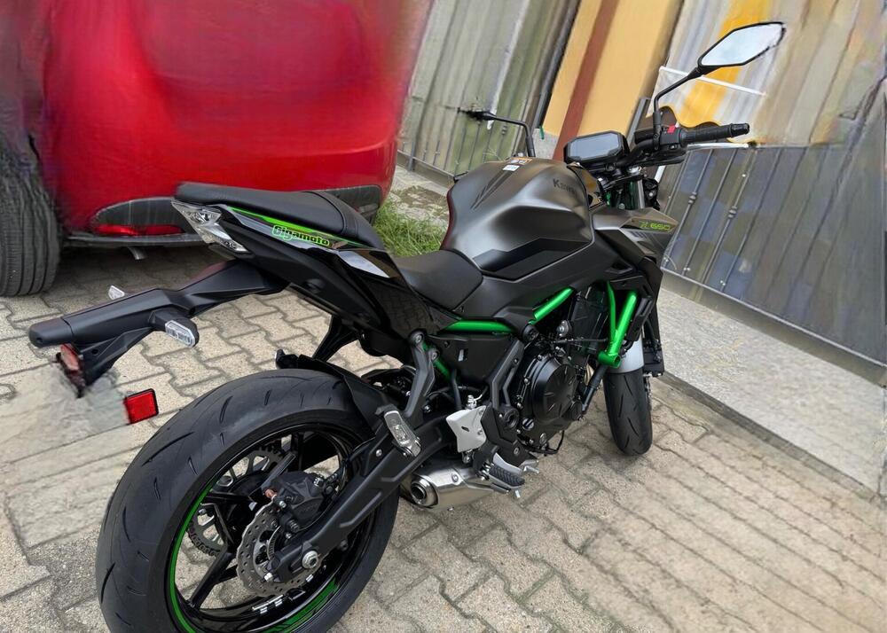 Kawasaki Z 650 (2021 - 25) (2)