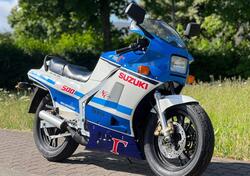 Suzuki RG 500 R (1985 - 88) usata