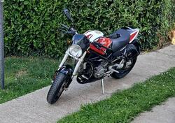 Ducati Monster S2 R (2004 - 07) usata