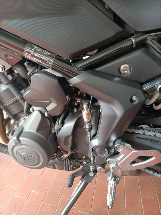 Triumph Tiger Sport 660 (2022 - 24) (4)