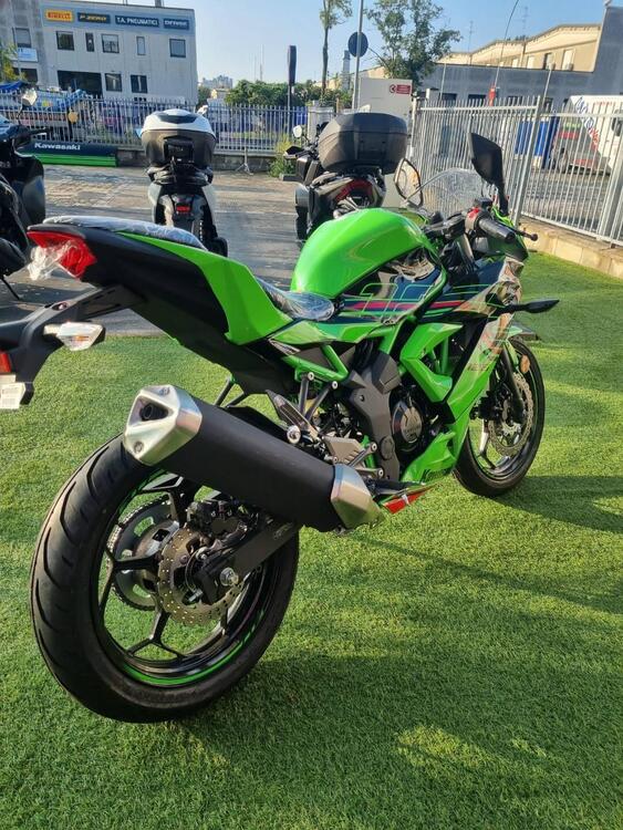 Kawasaki Ninja 125 (2021 - 24) (2)