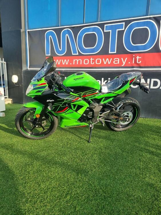 Kawasaki Ninja 125 (2021 - 25) (5)