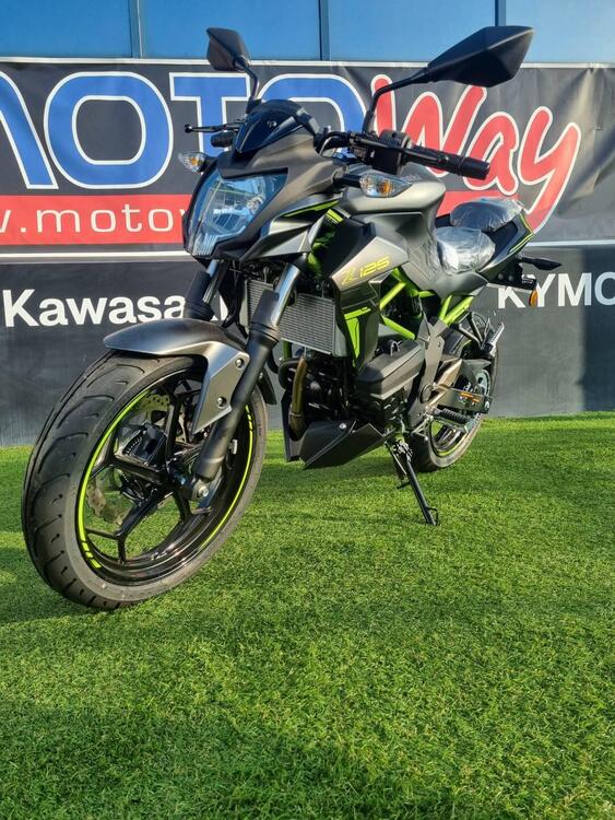 Kawasaki Z 125 (2021 - 24) (5)