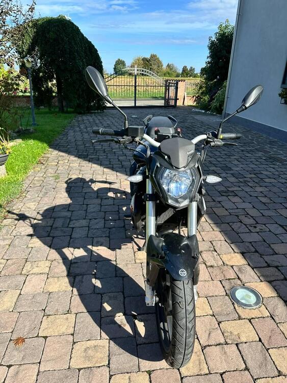 Benelli BN 125 (2018 - 20) (2)