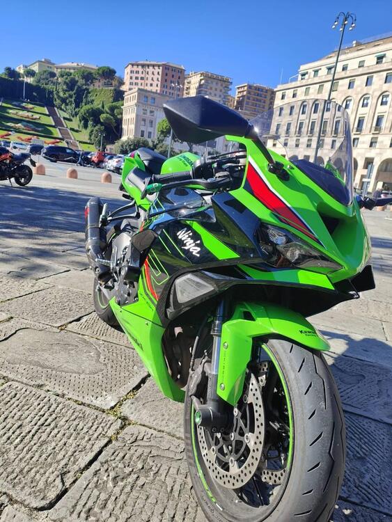 Kawasaki Ninja 636 ZX-6R (2024 - 25) (3)