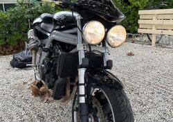 Triumph Speed Triple 955 (2002 - 04) usata