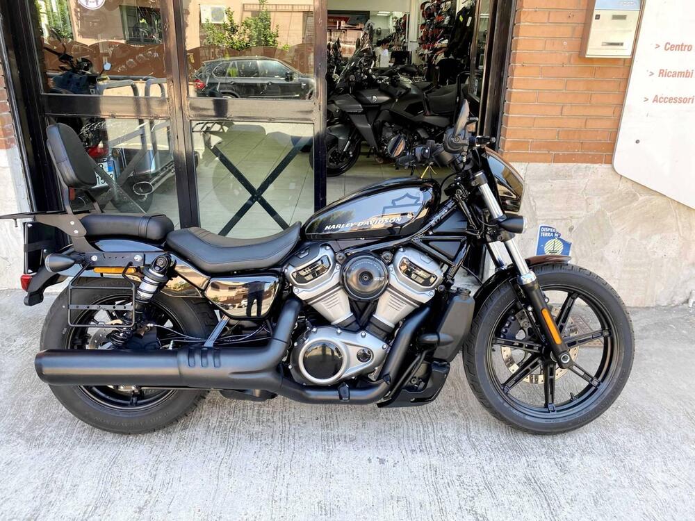 Harley-Davidson Nightster (2023 - 24)