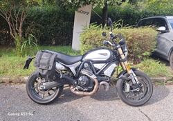 Ducati Scrambler 1100 (2018 - 20) usata