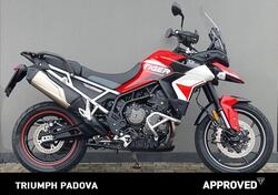 Triumph Tiger 900 GT Aragón Edition (2023 - 24) usata