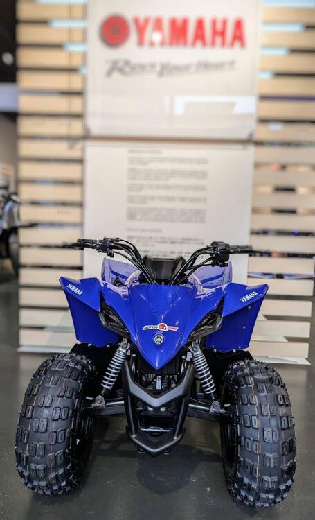 Yamaha YFZ 50 (2022) (3)