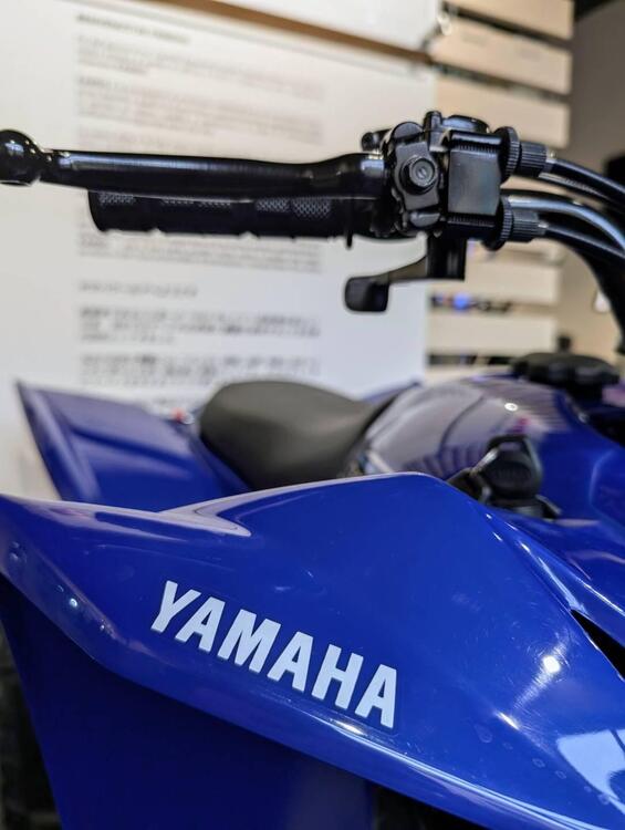 Yamaha YFZ 50 (2022) (4)