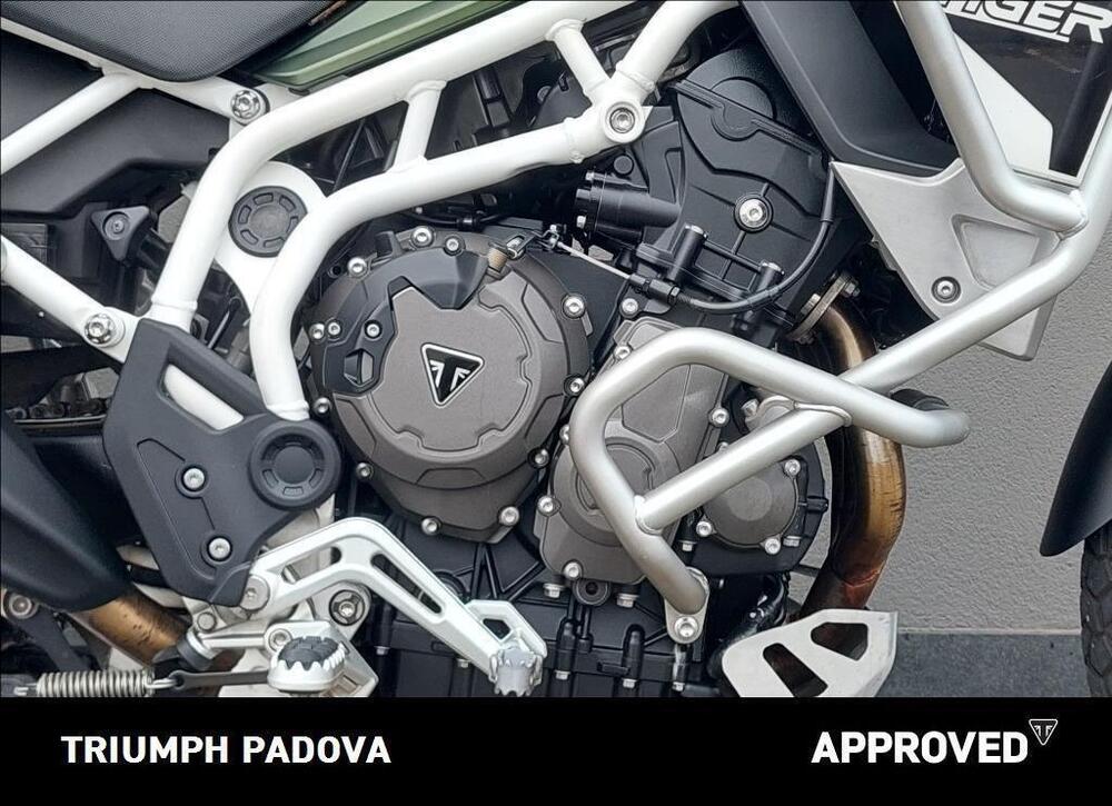 Triumph Tiger 900 Rally Pro (2020 - 23) (3)